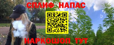 бошки Тара